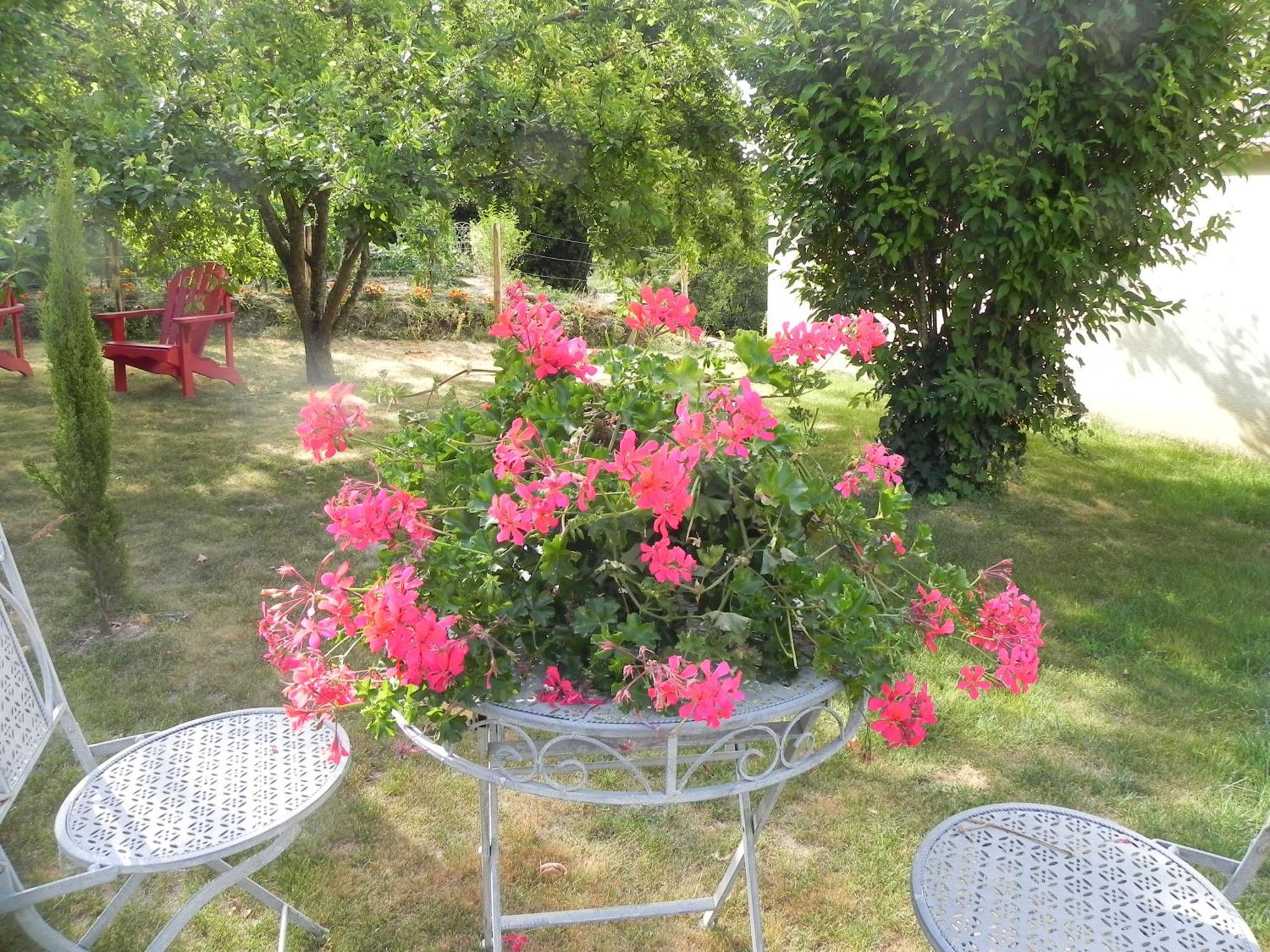 Les Patis Bed & Breakfast Vouvray Exterior photo